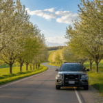 Manistee County Sheriff Responds to Diverse Incidents Across Townships