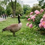 Bridge Michigan Launches June News Quiz to Test Knowledge on State Events
