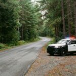 Manistee County Sheriff Addresses Car-Deer Crashes and Community Concerns