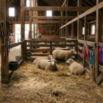 Manistee County Fair Celebrates Youth Achievements and 4-H Excellence in Michigan